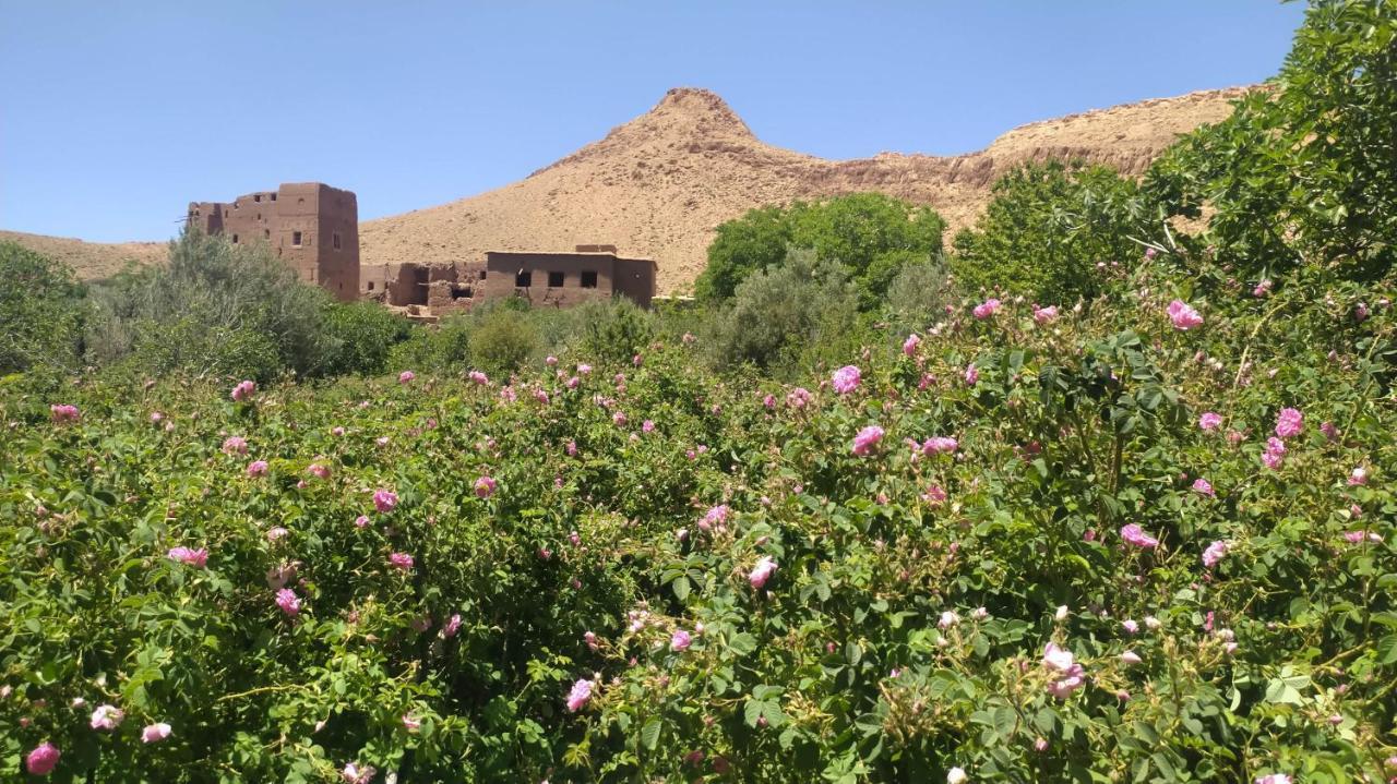Les Jardins Du M'Goun Bed and Breakfast Kelaat-M'Gouna Exteriör bild
