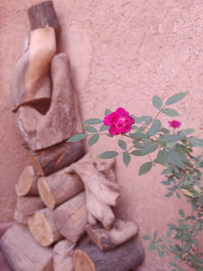 Les Jardins Du M'Goun Bed and Breakfast Kelaat-M'Gouna Exteriör bild