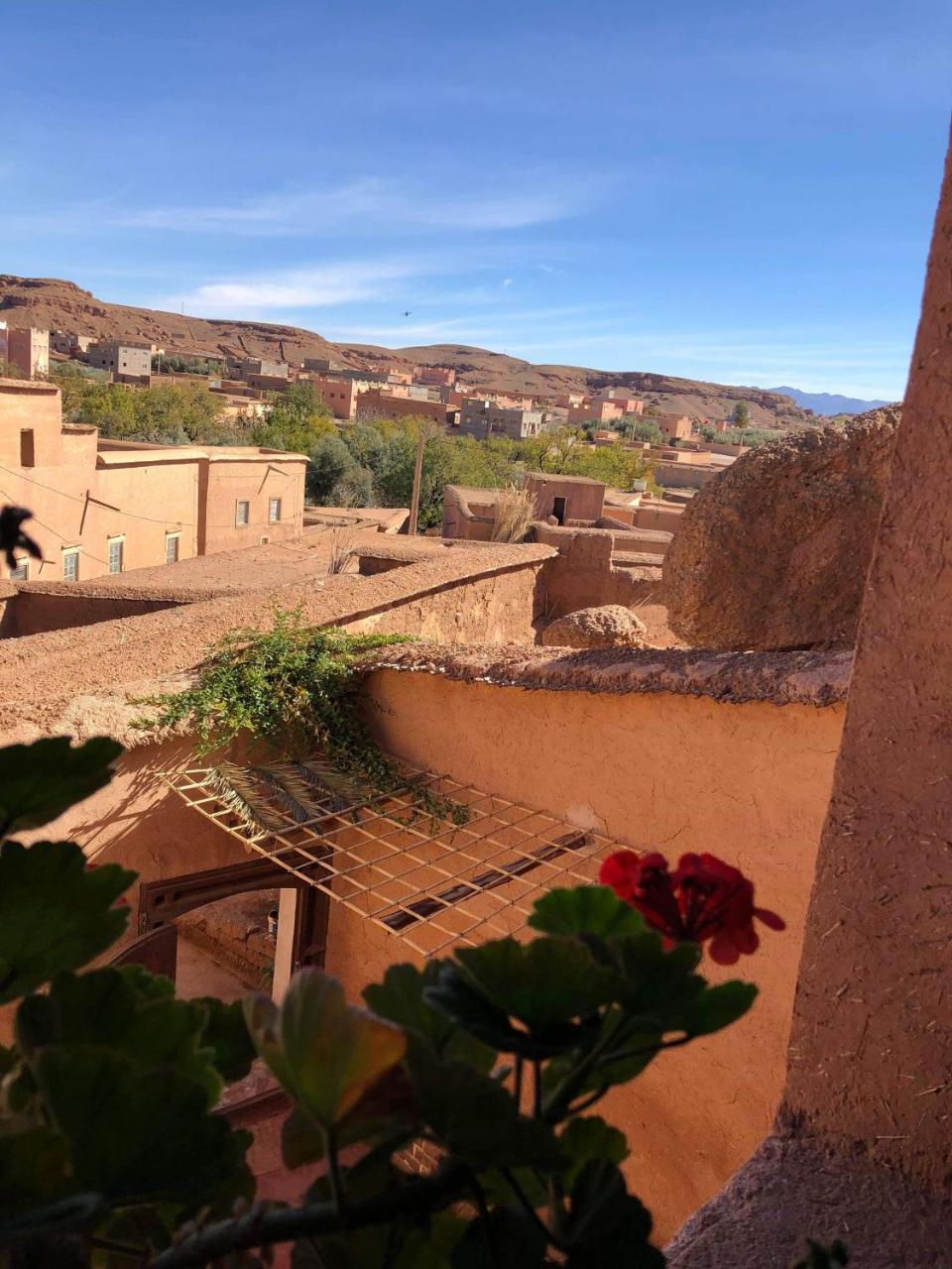 Les Jardins Du M'Goun Bed and Breakfast Kelaat-M'Gouna Exteriör bild